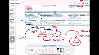 DPP 4 inhibitors mechanism of action endocrinology 91  First Aid USMLE Step 1 in UrduHindi [upl. by Bing]