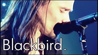 Alter Bridge  Blackbird  Subtitulado [upl. by Anilac872]