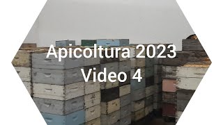 Apicoltura 2023 video 4 raccolta del miele nella Pampa argentina [upl. by Lihkin]