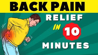 Lower Back Pain  Everything You Need to Know  Lower Back Pain Exercises quotFAST RELIEFquot [upl. by Htebyram]