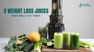 3 Powerful Green Juice Recipes for Weight Loss Detoxification and Fat Burning [upl. by Kcaj559]