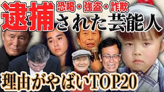 【衝撃】驚愕の理由で逮捕された芸能人20選 [upl. by Eiramalegna439]