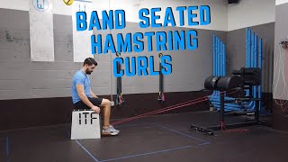 Seated Hamstring Curls with Resistance Band [upl. by Conners]