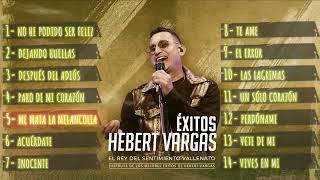 Hebert Vargas exitos TurboBielafullvallenatos [upl. by Ornstead413]