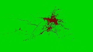 Giclée de sang 4 fond vert After effect green screen blood burst [upl. by Asillam]