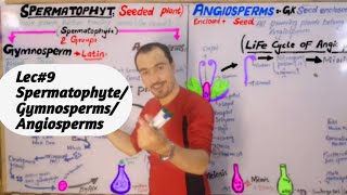 Spermatophyte plants and its groups Gymnosperms Angiosperms amp its cycle detail lecture in Hindi [upl. by Redle887]