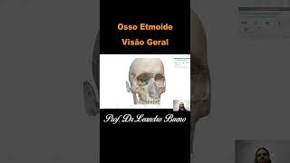 Osso Etmoide  Anatomia Humana  Anatomia [upl. by Hakim798]