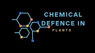 PreExisting and induced chemical defence in plants [upl. by Assenad]