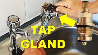 How to Change a Tap Valve while Fixing a Dripping Tap 🚰 Easy DIY [upl. by Konrad661]