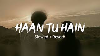 Haan Tu Hain SlowedReverb  KK Pritam  Jannat  Lofi Songs  Slowed amp Reverb [upl. by Anitsenre]