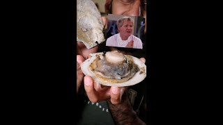 Lets Try Gordon Ramsays SCALLOPS [upl. by Lerat]