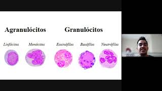 Hematologia clinica aula 2  Leucopoese [upl. by Loralie284]