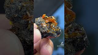 Wulfenite from Xinjiang China crystals mineralogy mineralspecimen [upl. by Eelyek]