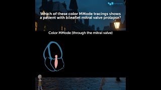 Which of these colour MMode tracings shows a patient with bileaflet mitral valve prolapse 🤔 [upl. by Sigmund941]