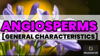 Angiosperms  General character  Biology  Educational info [upl. by Pessa]