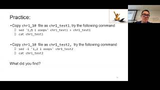 W1a Unix command line I – Day 3 [upl. by Roanna]