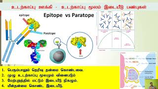 Immunology  Summary Tamil Part 5 [upl. by Ahtelra]