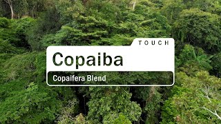 doTERRA Copaiba Touch Translated Subtitles [upl. by Elockcin]