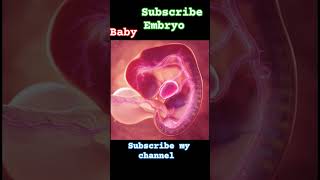 ASMR embryo devlopment by treatment viral anatomy 3danimition asmr short [upl. by Rubi]