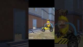 Banana cat recall happy cat funny bananacat ytshorts shortvideo [upl. by Ahsyekat]