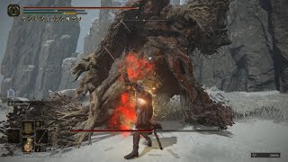 Elden Ring  Putrid Avatar Boss Fight Consecrated Snowfield [upl. by Lladnik501]