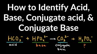 How to Identify Acid Base Conjugate Acid and Conjugate Base Examples and Practice Problems [upl. by Toole]