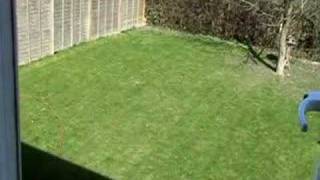 Cutting the grass  Time lapse [upl. by Martell]