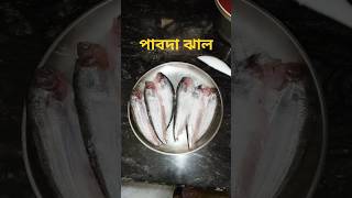 Pabda jhalar Recipe 🐠pabdamacherjholpabdamacherrecipepabdapabdamachmachrecipe [upl. by Steward843]