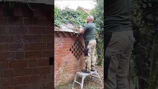 Ivy Takes OVER This Abandoned Building garden gardenrenovation satisfyingvideo [upl. by Eniamor]