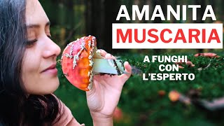 AMANITA MUSCARIA  Cosa devi sapere  Episodio 3 [upl. by Ainex]