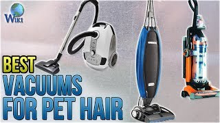 10 Best Vacuums for Pet Hair 2018 [upl. by Fauver325]