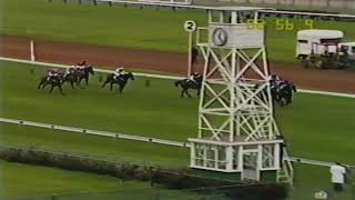 1988 VRC FLEMINGTON  September Meeting [upl. by Ubana]