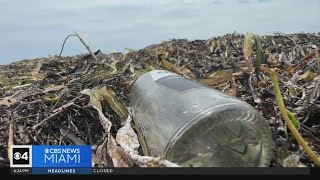 Local leaders meet to explore ways to improve and protect Biscayne Bay [upl. by Ollehcram]