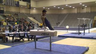 Pommel Horse Flop sequences [upl. by Nalyt]