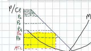 First Degree Price Discrimination and its Effect on Efficiency in a Monopolistic Market [upl. by Nesilla]