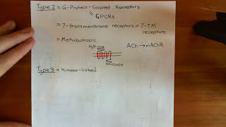 Types of Receptors Part 2 [upl. by Imaj]