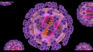 Mathematical Modeling of CTLs Dynamics in HIV Antiretro Viral Therapy Interms of LotkaVolterra [upl. by Notsua145]