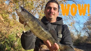 CATCHING BIG FALL FISH FALL FISHING [upl. by Hodosh]