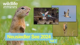 Neusiedler See  Mai 2024  Teil 1  4K [upl. by Arreip]