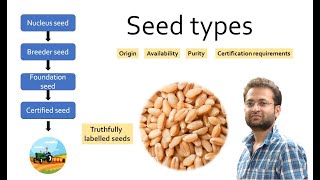 Different types of seeds Classification of plant seeds Nucleus breeder foundation certified [upl. by Alorac]