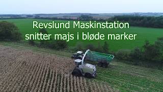 Revslund Maskinstation snitter majs [upl. by Charline]