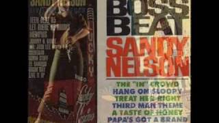 Sandy Nelson  Teen Beat [upl. by Goulder]