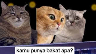 Kucing Meme  Asians Got Talent TERBARU 2024 [upl. by Nalad]