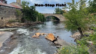 NonStop Ausable River Smallmouth in Keeseville NY [upl. by Harvard]