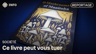 Un livre écrit par lIA qui pourrait être dangereux [upl. by Culbertson]