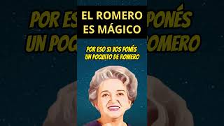 EL ROMERO ES MÁGICO 🔥 brujeria hechizo recetas magia consejo bruja protección [upl. by Hanway]