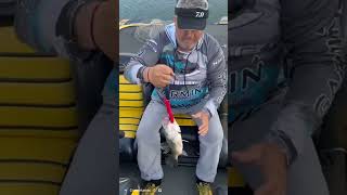 POLÉMICA campeonato de pesca PARTE 2 [upl. by Aurelio]