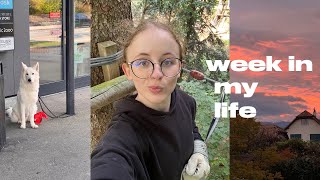 Week in my life  a fun date health update jk movie and more  Flurina [upl. by Assenev1]