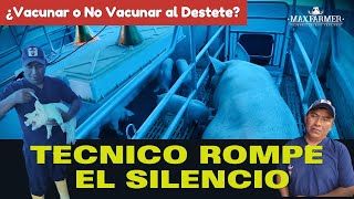 ¿Vacunar o No Vacunar al Destete El Técnico Rompe el Silencio [upl. by Cicily512]