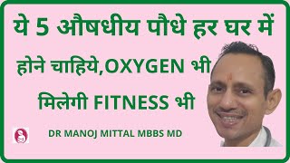 5 important medicinalplants compulsary for every home to stay fitहर घर में जरूर हों ये 5 ओषधिय पौधे [upl. by Auos]